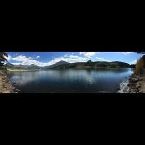 Meet your Posher, Taylor